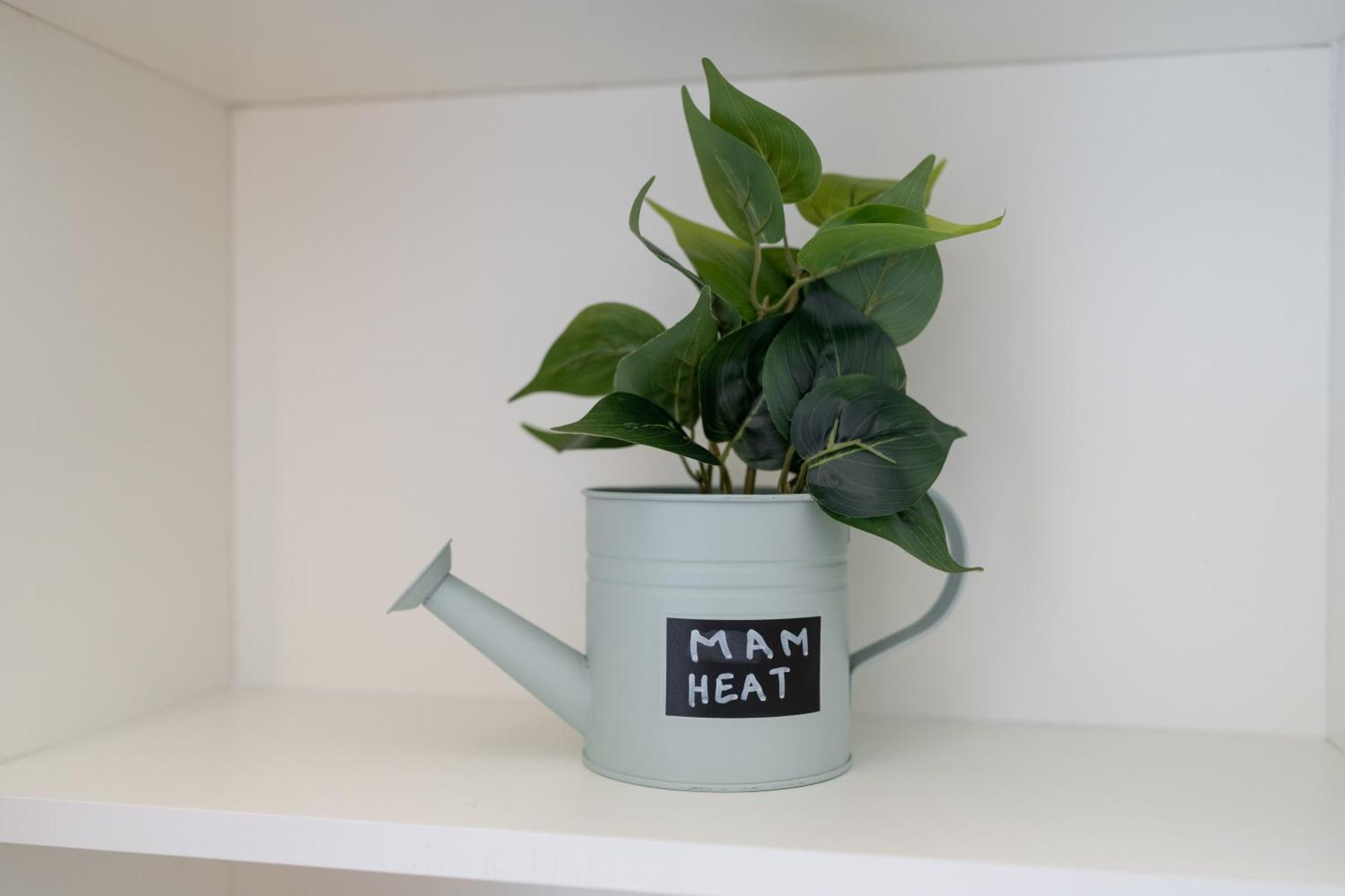 Mam Heat Apartments - Viana City Centre Виана-ду-Каштелу Экстерьер фото